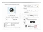13.5mm Tahitian South Sea Peacock Pearl - PSL Certified - Model Image
