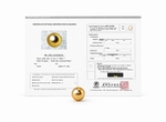 17mm Golden South Sea Loose Pearl - PSL Certified