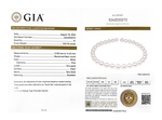 12-14mm White South Sea Round Pearl Necklace AAAA Quality - GIA Certified - Model Image