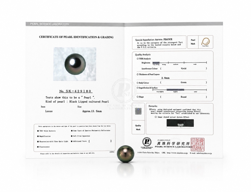 13mm Tahitian South Sea Peacock Pearl - PSL Certified