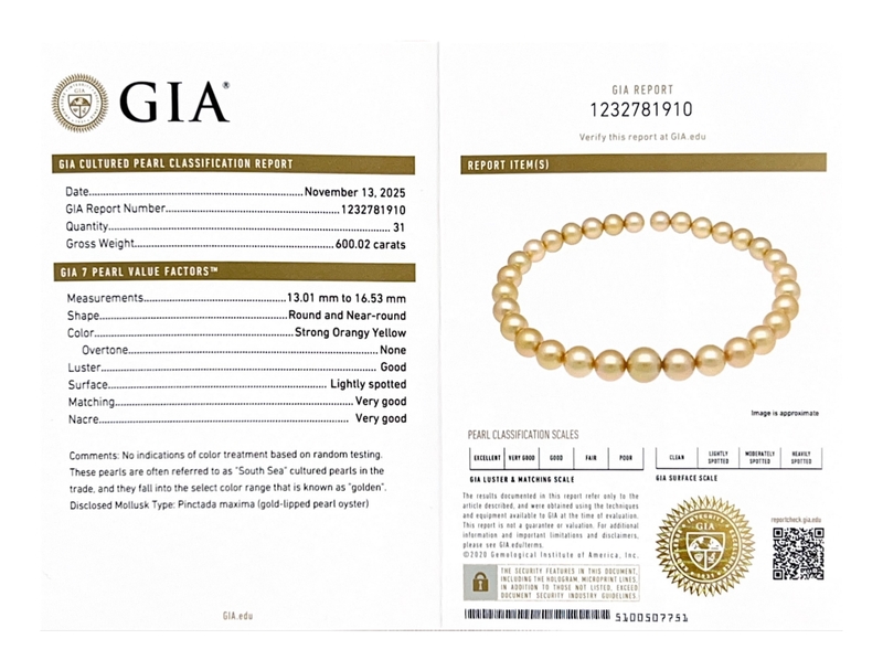 13-16mm Golden Round South Sea Pearl Necklace - GIA Certified - Model Image
