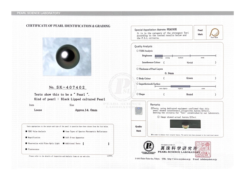 14mm Tahitian South Sea Peacock Pearl - PSL Certified - Model Image
