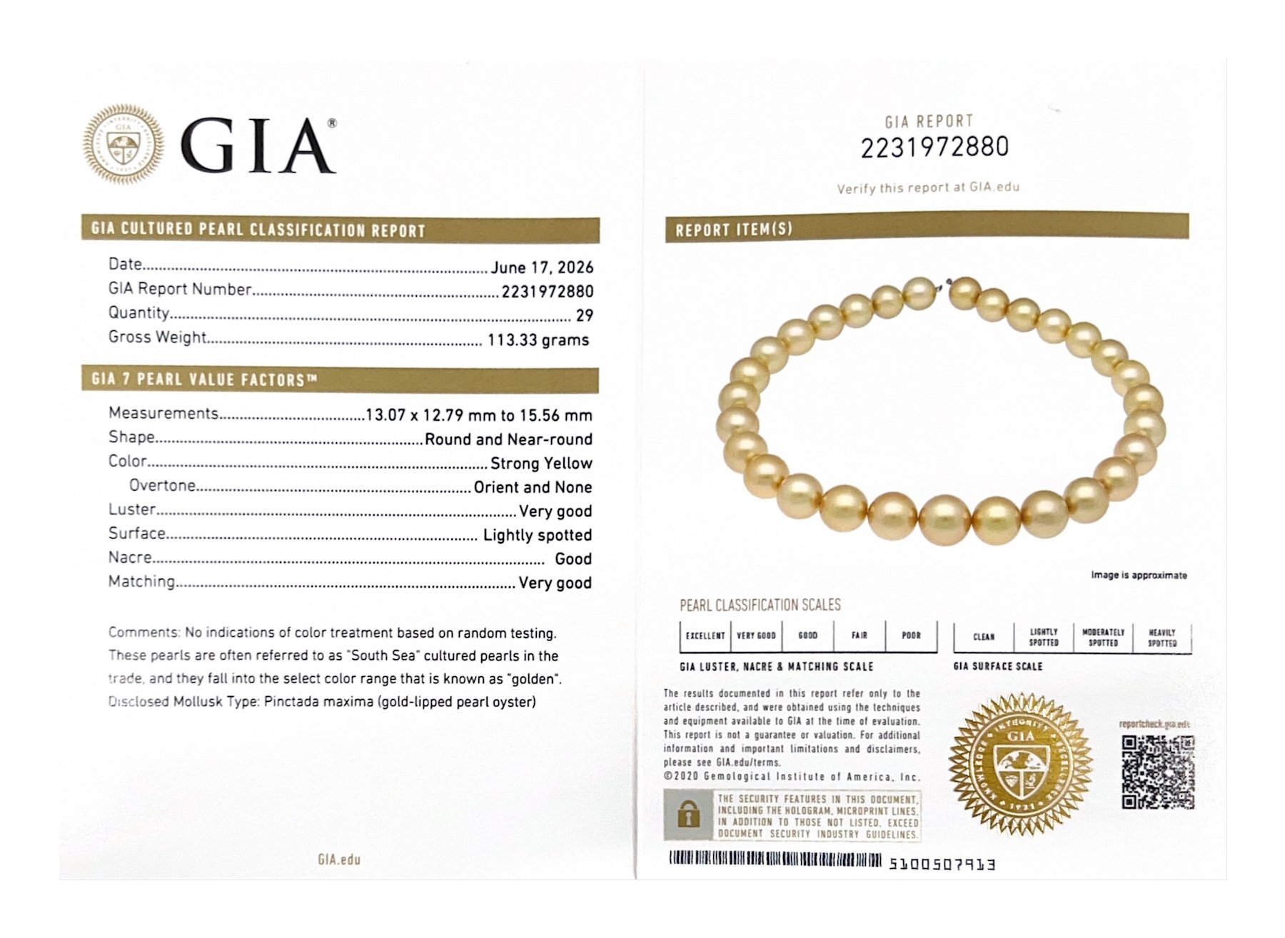 13-15mm Golden Round South Sea Pearl Necklace - GIA Certified - Model Image