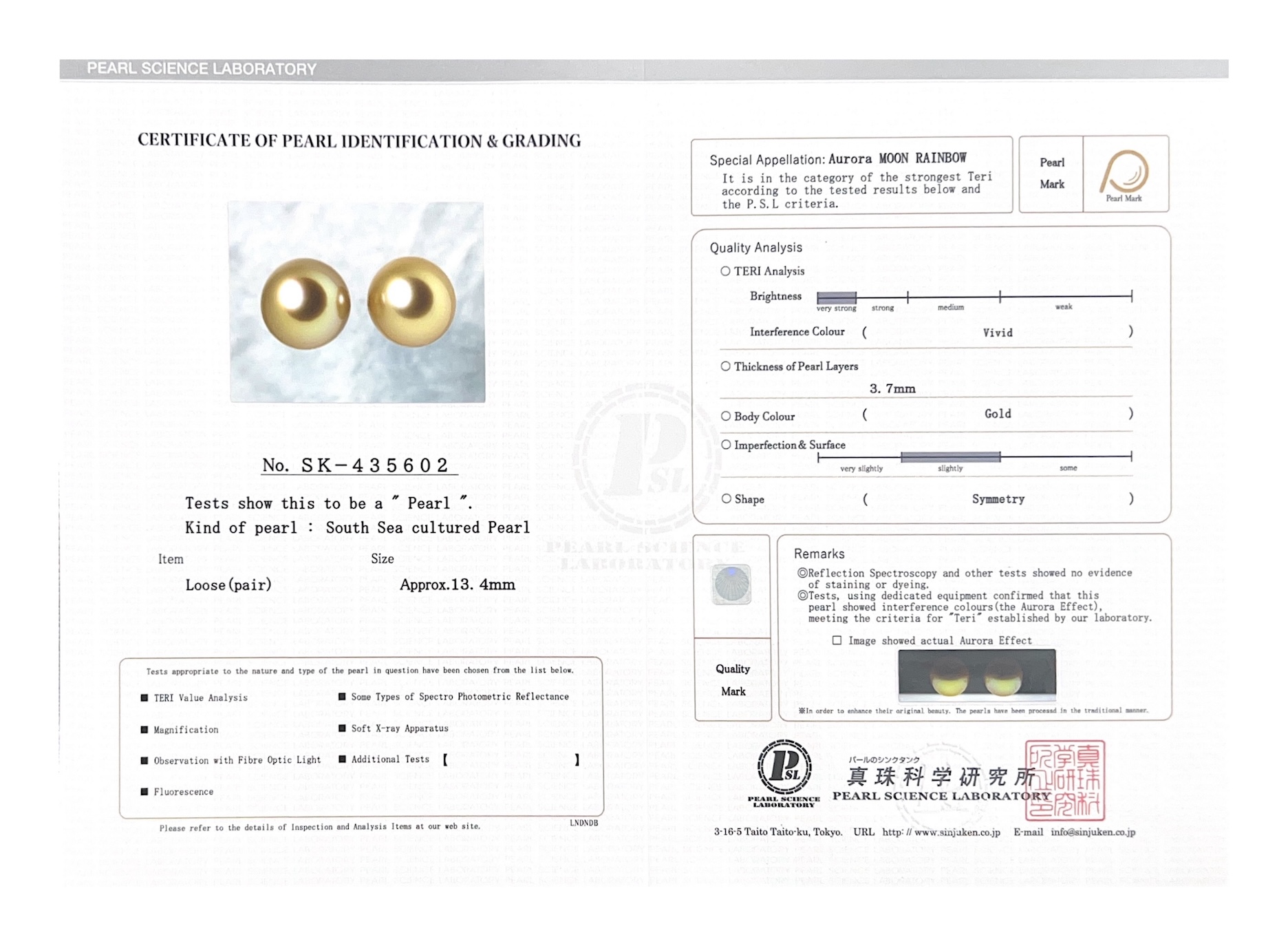 13mm Golden South Sea Loose Pair - PSL Certified - Model Image