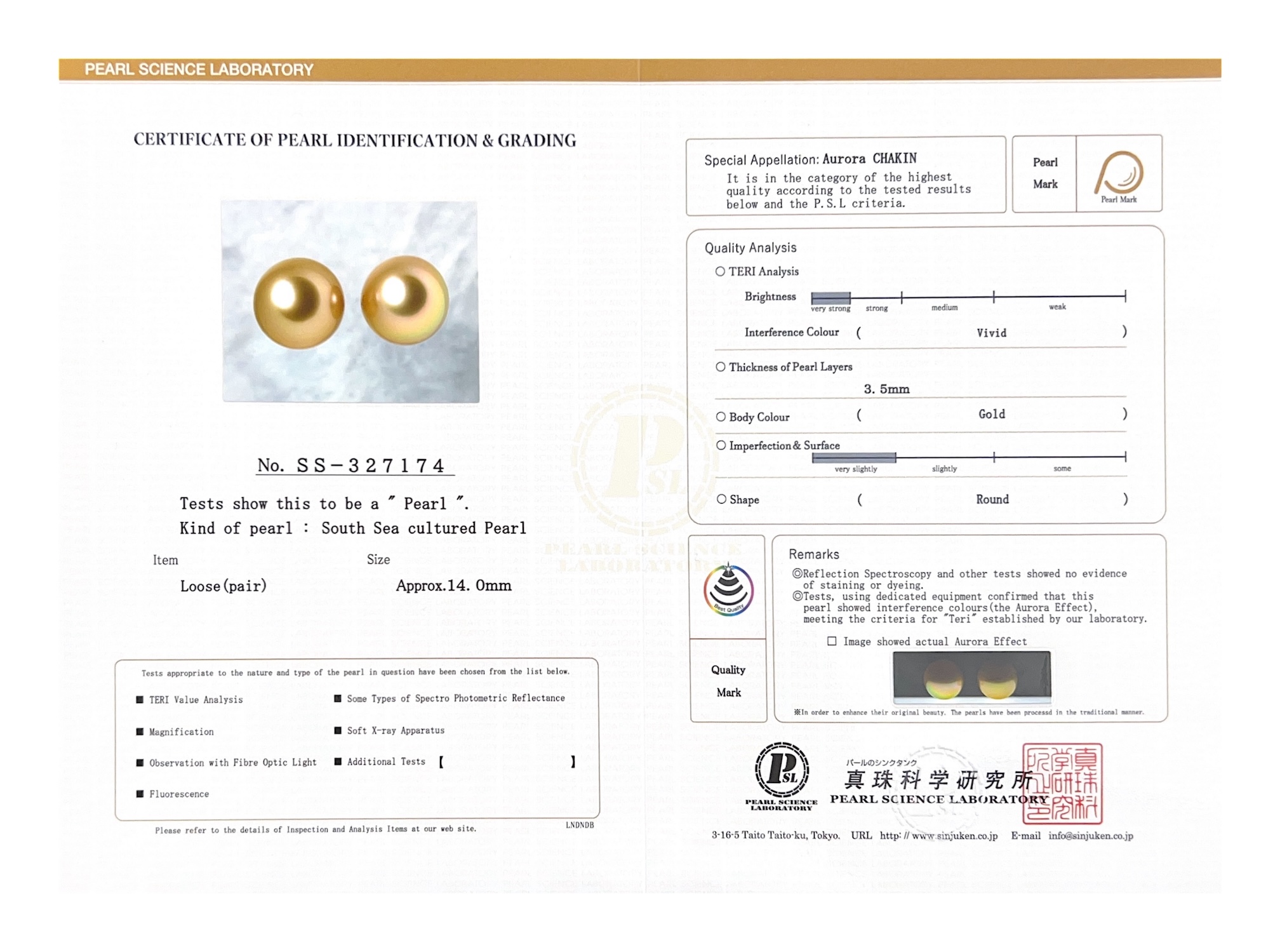 14mm Golden South Sea Loose Pair - PSL Certified - Model Image