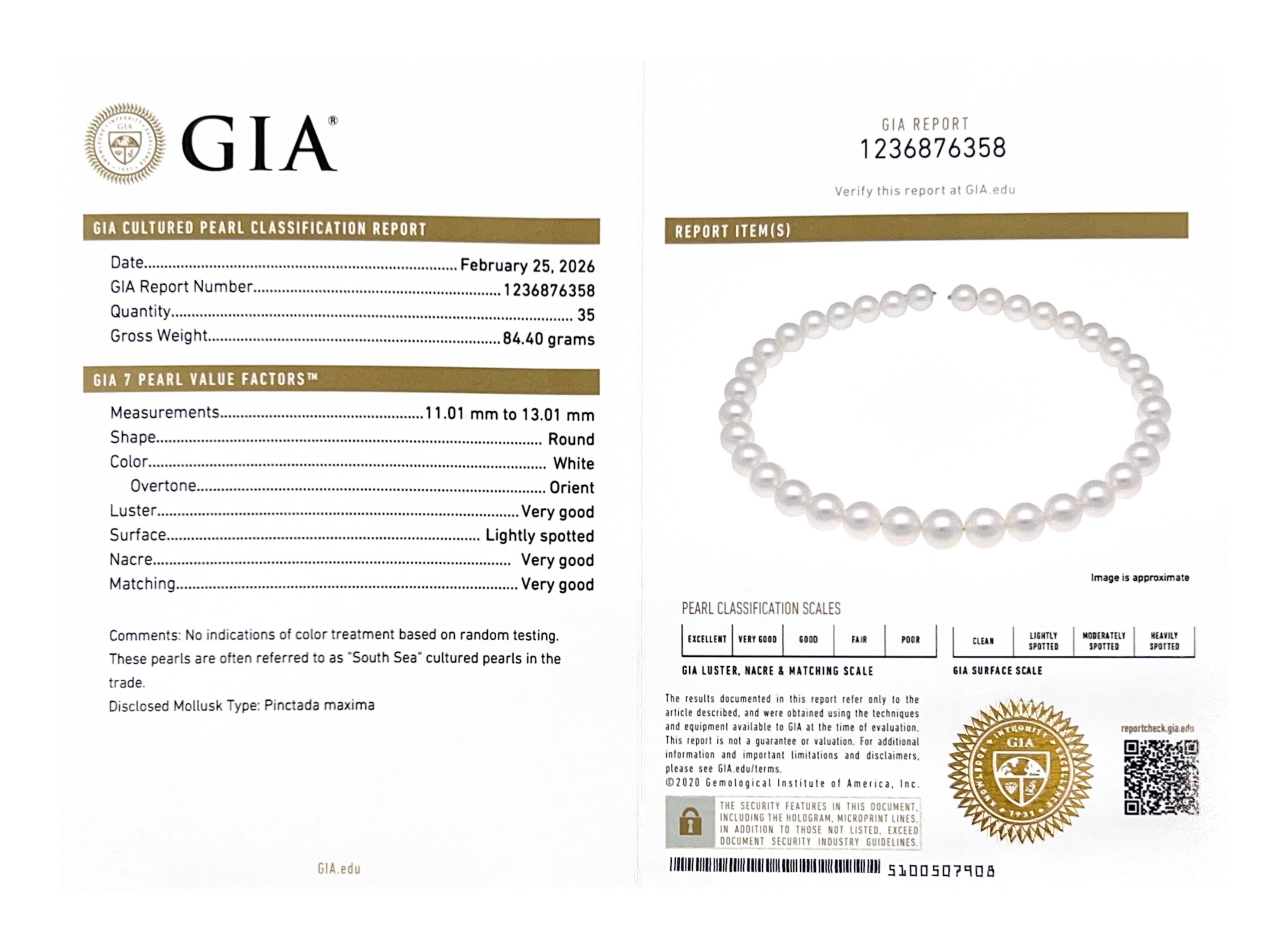 11-13mm White South Sea Pearl Necklace - GIA Certified - Model Image