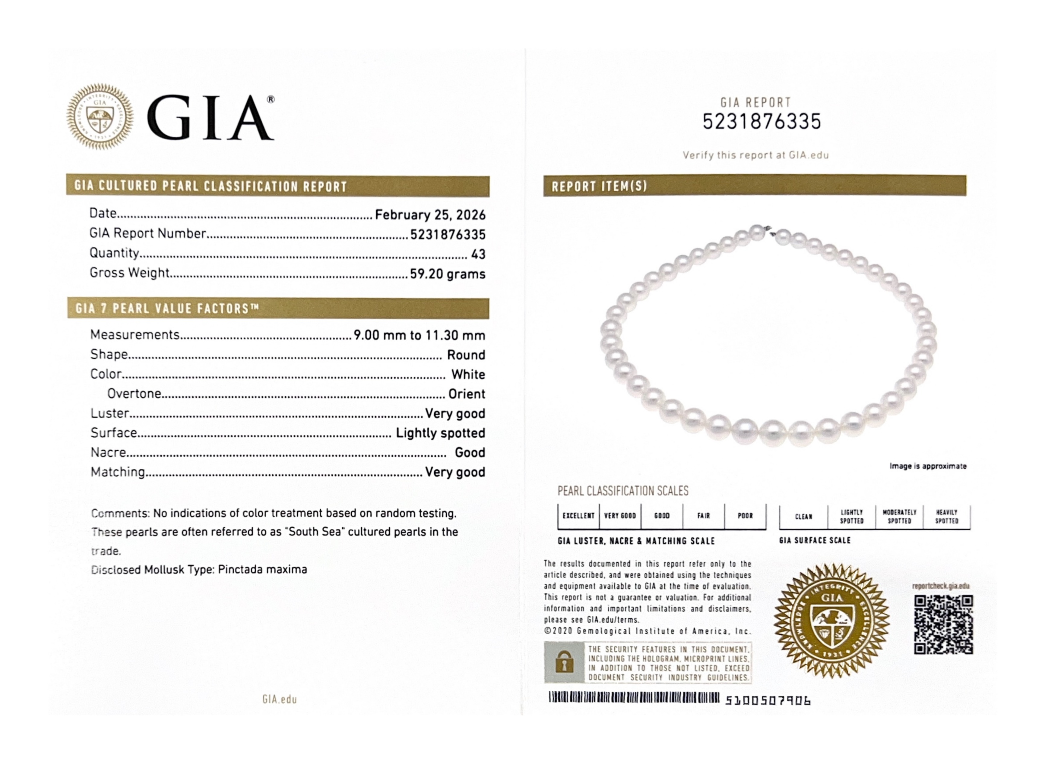 9-11mm White South Sea Pearl Necklace - GIA Certified - Secondary Image